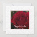 Search for ruby rose postcards Red