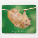 Search for hang on mousepads There