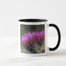 Search for sonoran mugs Cactus