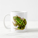 Search for kissing frog mugs Green