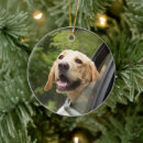 Search for labrador retriever christmas tree decorations Puppy