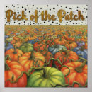 Search for the pumpkin patch posters Thanksgiving