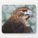 Search for tail mousepads Animal