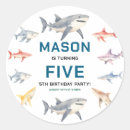 Search for sharks stickers Boy birthday