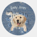Search for golden retriever dog stickers Pet