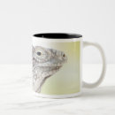 Search for green iguana mugs Wildlife