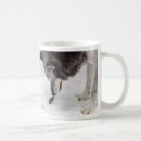 Search for wolf mouse photography Nature