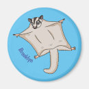 Search for opossum magnets Cartoon