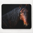 Search for horse mouse Animals