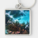 Search for coral reef key rings Caribbean