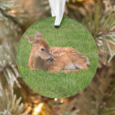Search for fawn deer christmas tree decorations Woodland