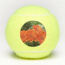 Search for orange tennis balls Nature