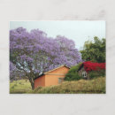 Search for country postcards Trees