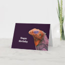 Search for iguanas cards Lizard