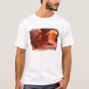 Search for geological formation Colourful