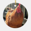 Search for chicken christmas tree decorations Photography