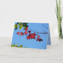Search for red maple leaf cards Autumn