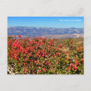 Search for library postcards Nature