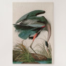 Search for audubon birds puzzles Great blue heron