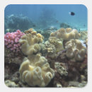Search for great barrier reef stickers Queensland