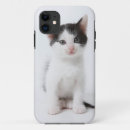 Search for cute baby kitten iphone cases Young animal