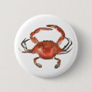 Search for crab badges Sea life