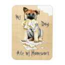 Search for norwegian magnets Elkhound