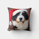 Search for funny christmas dog cushions Humour