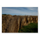 Search for bale of hay postcards Trees