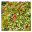 Search for poppy art Wildflower