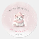 Search for we stickers Girl baby shower