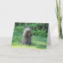 Search for hogs cards Cute