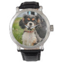 Search for cavalier watches Puppy