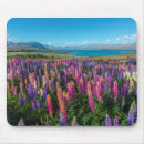 Search for lupin mousepads Floral
