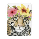 Search for cheetahs magnets Flowers