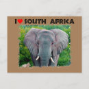 Search for elephant postcards Nature
