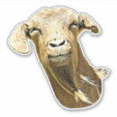 Search for funny scrapbook stickers Wildlife