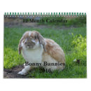 Search for bunny calendars Bunnies
