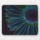 Search for gerberas mousepads Blue
