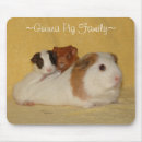 Search for pig mousepads Guinea pigs
