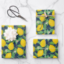 Search for navy blue and yellow wrapping paper Flowers
