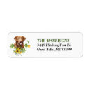 Search for chesapeake return address labels Chesapeake bay retriever