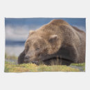 Search for grizzly bear tea towels Carnivore