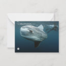 Search for canadian note cards Television