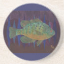 Search for sunfish Pumpkinseed