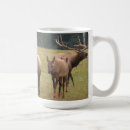 Search for elks mugs Wild