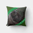 Search for koala australia cushions Animal