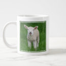 Search for baby lamb mugs Sheep