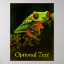 Search for tree frogs posters Animal