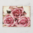 Search for vintage rose postcards Florist